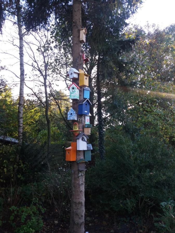 B&B 't Achterhoes Bellingwolde Buitenkant foto